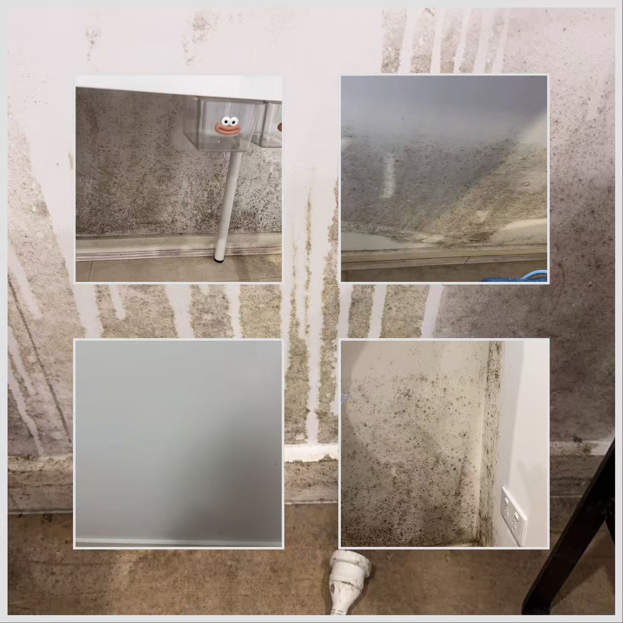 Floor cleaning result